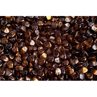 Pinch Beads 5x5mm Tweedy Gold 23980/45704 | Rutkovsky Czech Glass