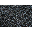 PRECIOSA Seed beads 10/0 N. 1159 Black