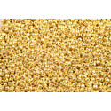 TOHO Round 11/0 Galvanized Yellow Gold PF590 | Japanese Seed Beads