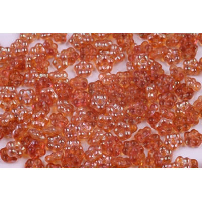 Forget me Not N. 802 CRYSTAL APRICOT