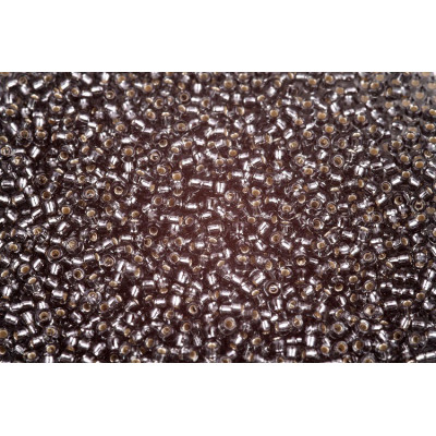 MIYUKI Round 11/0 N. 815 Silver Lined Grey