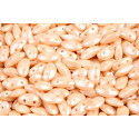 Mobyduo® 3x8 mm N. 24 Chalk White Champagne Luster