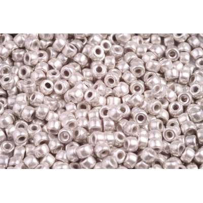 Matubo Round 6/0 Seed Beads Silver Paste Mat 23980/81002