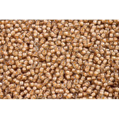 TOHO Round 11/0 Seed Beads 369 Black Diamond Orange Creme-Lined