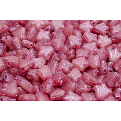 Lily flower N. 11 Rose