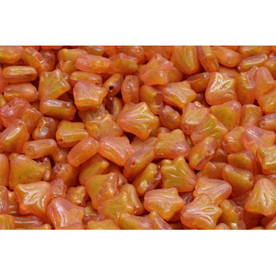 Lily flower N. 21 Naranja