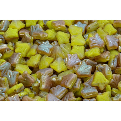 Lily flower N. 23 Brown