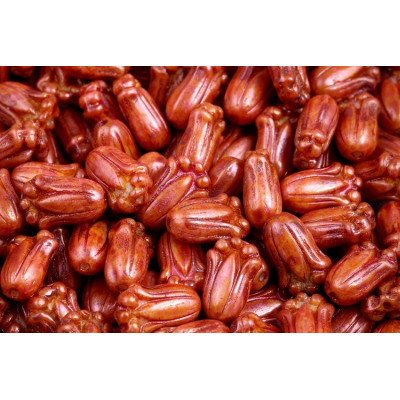 Tulip Bud Beads N. 1639 WHITE ALABASTER PINK LAZURA