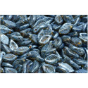 Bay Leaf Beads 6x12 mm N. 1921 CRYSTAL BLUE/GREEN SPOTTED