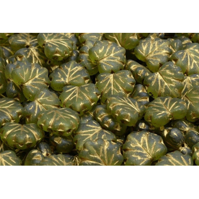 Maple Leaf Beads 13x11 mm N. 1489 OLIVINE LIGHT MAT/GOLD