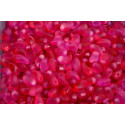Lily Petal Beads 4X6 mm N. 1616 Rouge