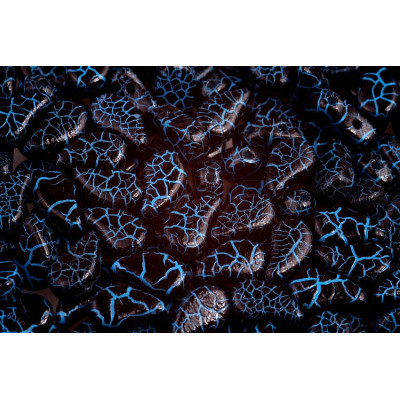 Paisley Duo N. 138 IONIC JET/BLUE