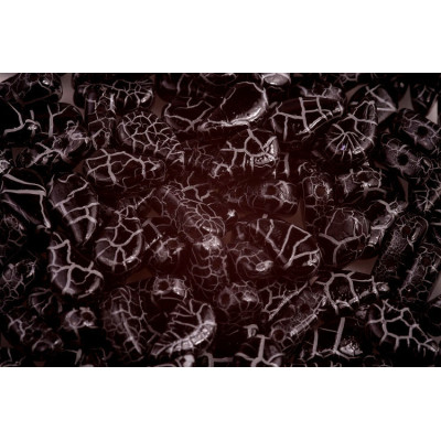 Paisley Duo 8x5 mm N. 139 IONIC JET/WHITE