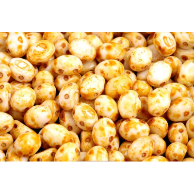 Preciosa Candy™ Oval N. 48 WHITE ALABASTER TRAVERTINE