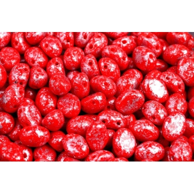 Preciosa Candy™ Oval N. 61 Opaque Red Granite Silver