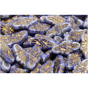 Arabesque Beads N. 4256 Azul