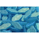 Arabesque Beads N. 4257 AQUAMARINE AB MAT