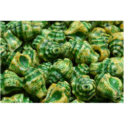 Murex Shell Beads 15x12mm White Green 02010-86800-54315 | Glass Beads