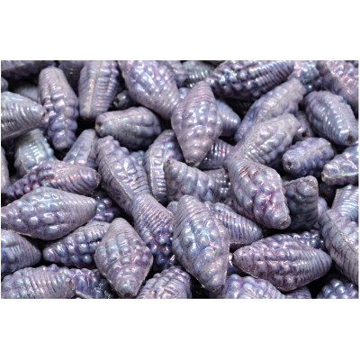 Miter Shell Beads 16x8mm White Alabaster Nebula 02010-15001