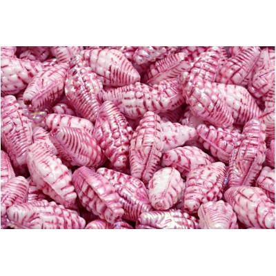 Miter Shell Beads 16x8mm White Alabaster AB Pink 02010-28701-54321