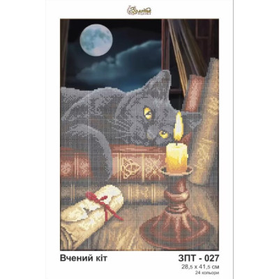 Stickleinwand für Perlen - Cat with books - 28,5 x 41,5 cm