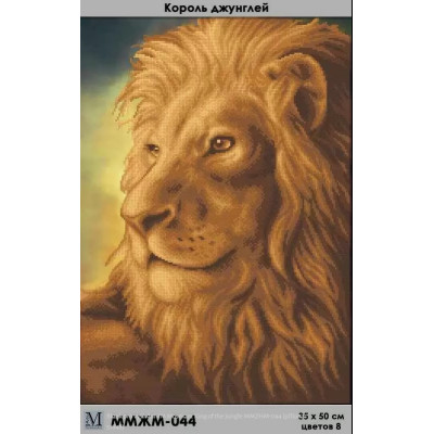 Embroidery beads canvas-Lion - the king of beasts-N.23 35 x 50 