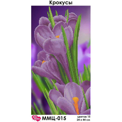 Embroidery beads canvas-Crocuses-N.87 24 x 50 