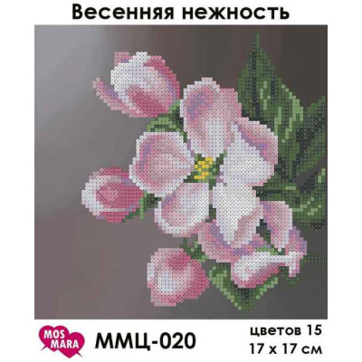 Embroidery beads canvas-Spring flower-N.107 17 x 17 
