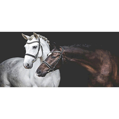 Diamond painting- Two horses-Nº99 100x50