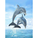 Diamond painting- Jumping dolphins-Nr.222 40x50