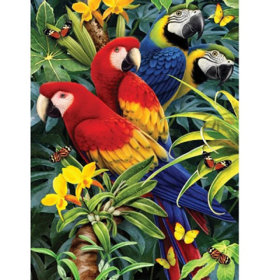 Diamond painting- Macaw parrots-N.415 50x70 