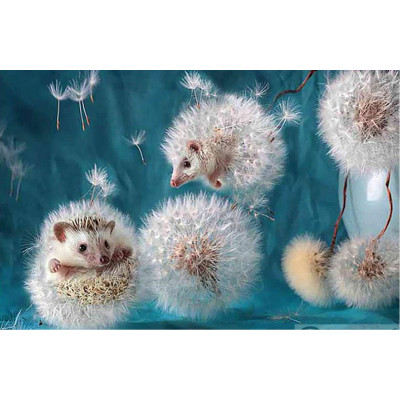 Diamond painting-Dandelion hedgehogs-N.486 30x40 