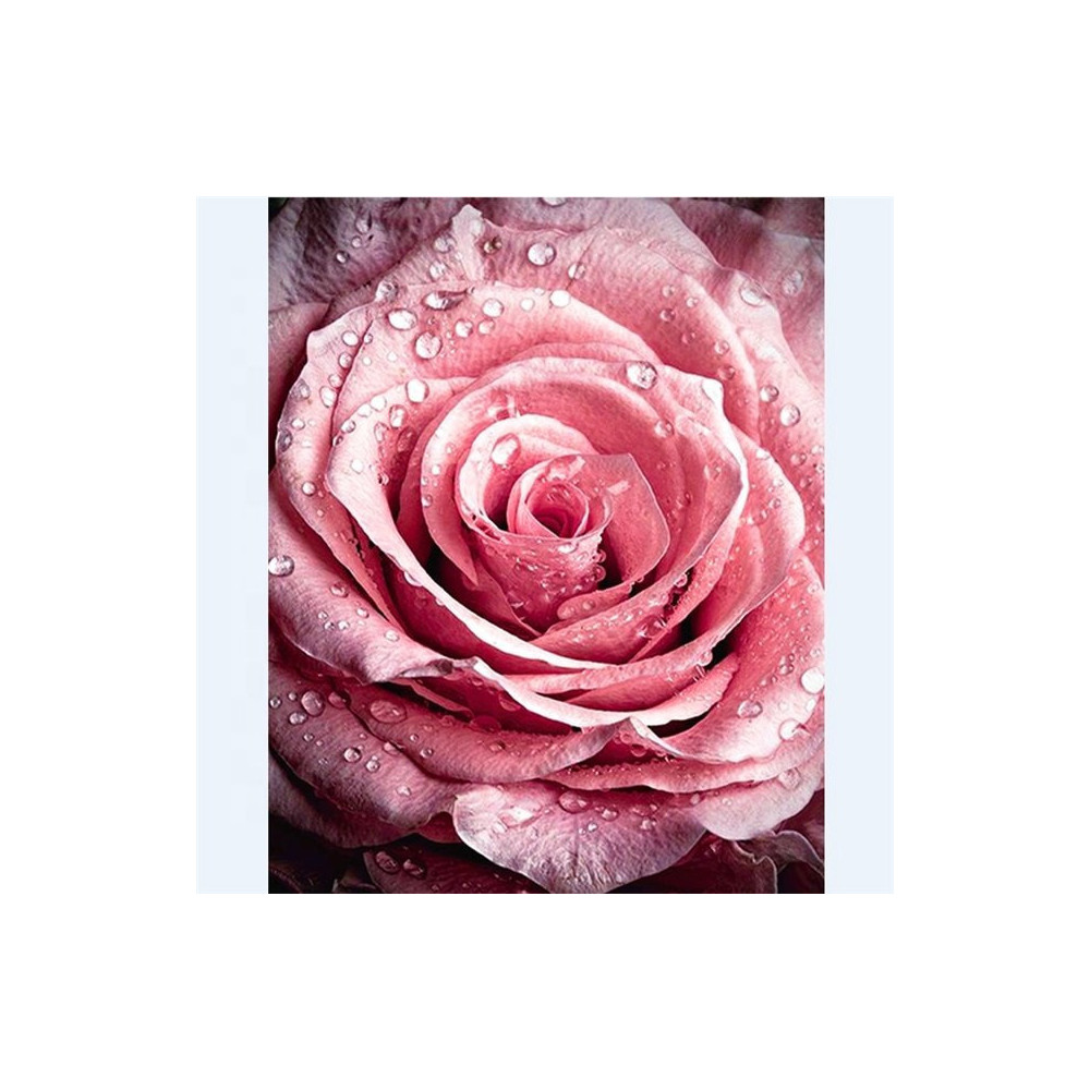 Diamond painting- Pink flower-N.574 50x70