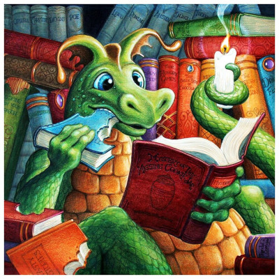 Diamond painting- Dragon in the library-N.576 50x50 
