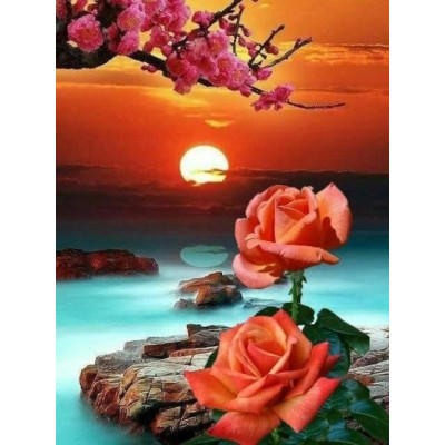 Diamond painting- Rose at sunset-N.618 30x40 