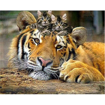 Diamond painting--N.918 40x50 