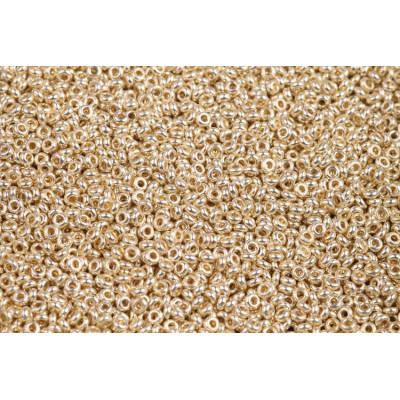 TOHO Demi Round 11/0 PermaFinish Galvanized Aluminum PF558