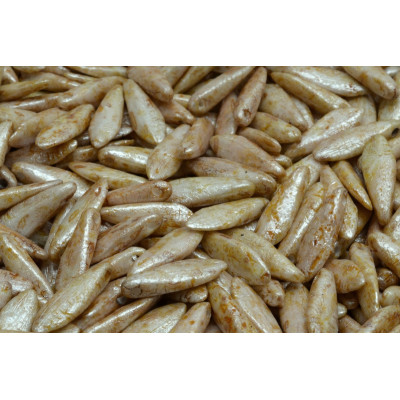 Dagger beads 5x16 mm N. 1737 OPAQUE IVORY SPOTTED