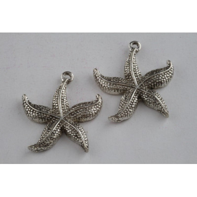 Metal 269 old silver