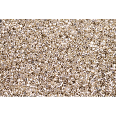 MIYUKI Delica 11/0 N. 1006 Galvanized Silver