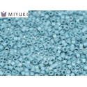 MIYUKI Delica 11/0 N. 1141 Matted Opq Glazed Nile Blue AB