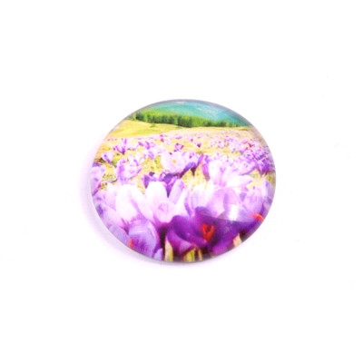 Glass cabochon 25 mm N. 1053 Mix