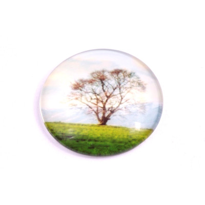Glass cabochon 30 mm N. 1037 Mix