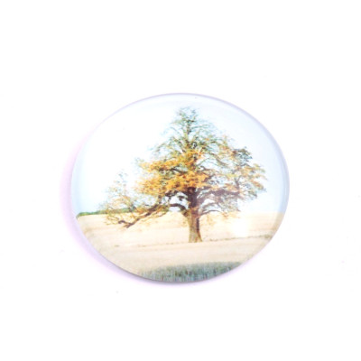 Glass cabochon 30 mm N. 1030 Mix