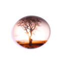 Glass cabochon 30 mm N. 1028 Mix