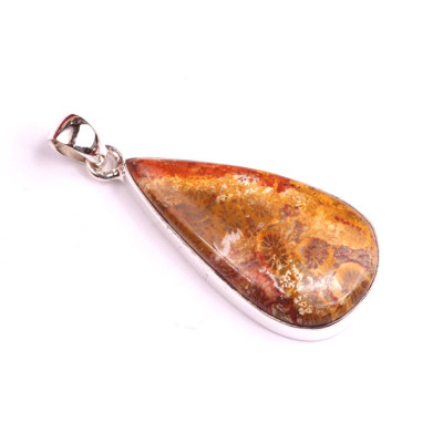 Přívěsek Fossil Coral 925/1000 č.11