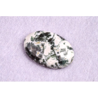 Cabochon Tree Agate No. 1728 (34x27x7mm)