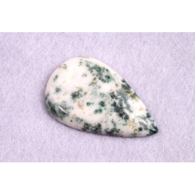 Kabošon Tree Agate č.1731 (40x25x6mm)