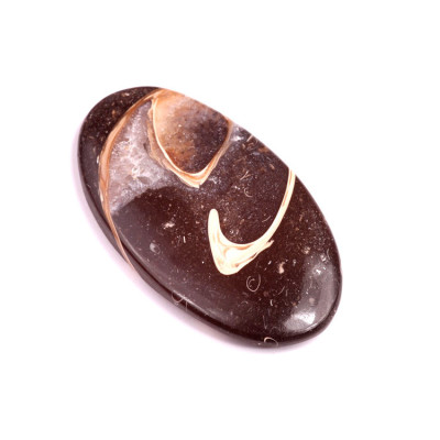 Kabošon Colus Fossil č.241 (54x30mm)