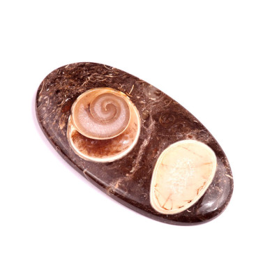 Kabošon Colus Fossil č.242 (68x37mm)